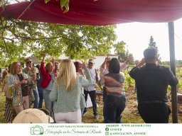 Festival Mar de Tethys 2026 - Bodega Vetas